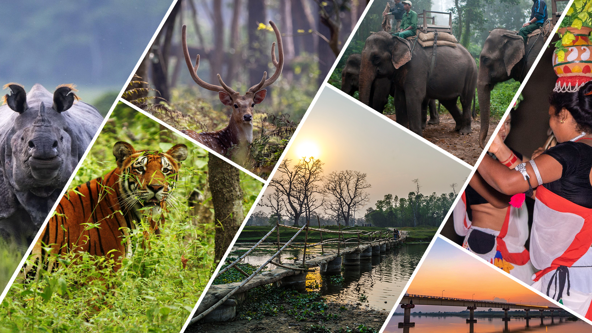 Stay visit Chitwan featured image