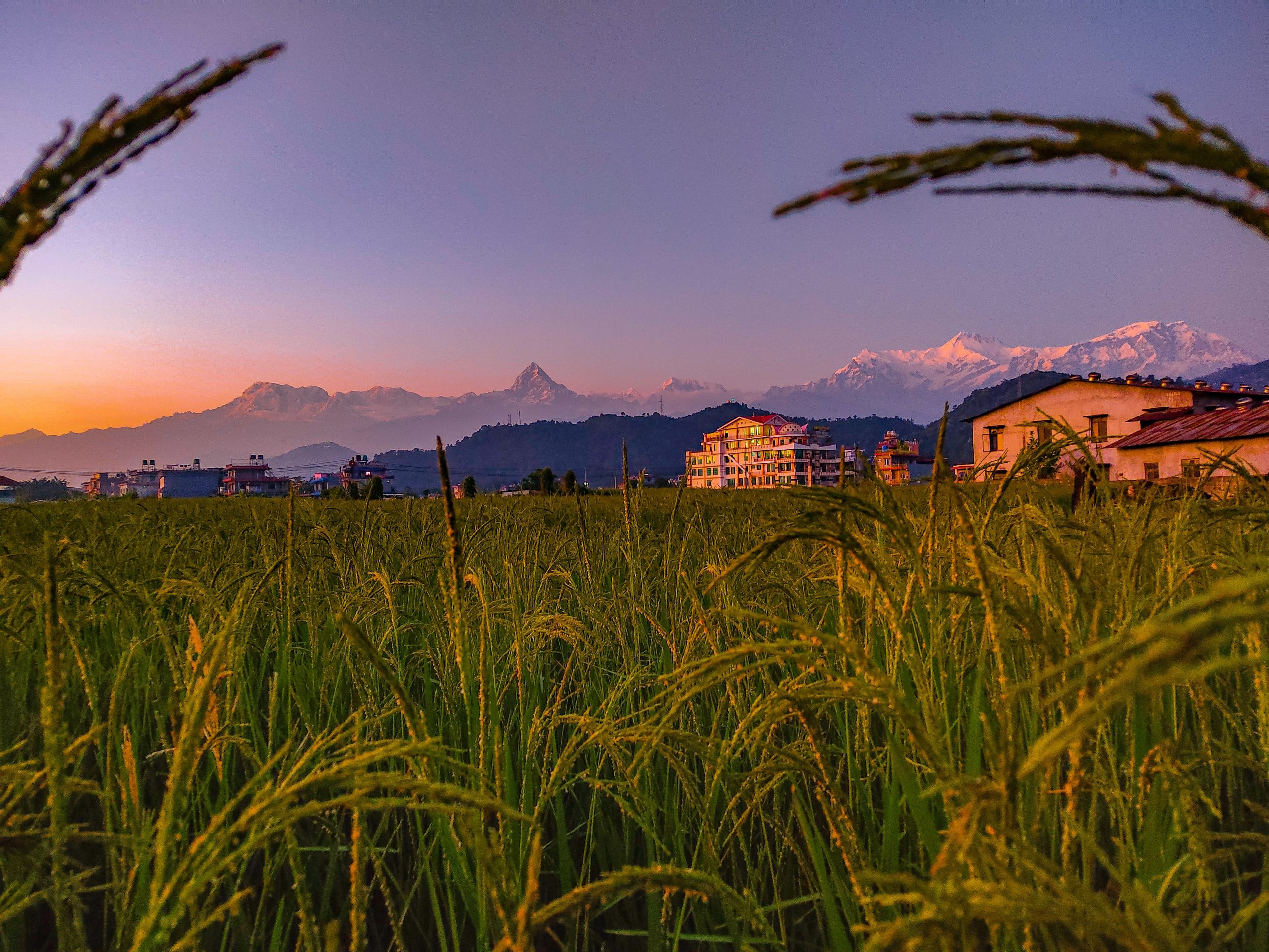 Official Announcement Wordcamp Nepal 2024 Comes To Pokhara Wordcamp Official Announcement Wordcamp Nepal 2024 Comes To Pokhara Wordcamp